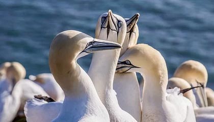 红河高价上海医保提取2025的最新政策(2025年红河上海医保怎么提取现金分享)