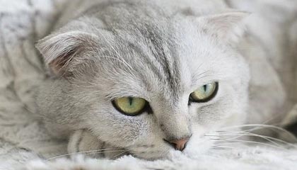 红河高价特别缺钱想提取养老金怎么办呢的最新政策(2025年红河高价特别缺钱想提取养老金怎么办呢视频分享)