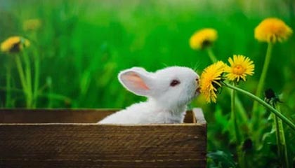 红河高价上海医保提取2025的最新政策(2025年红河上海医保怎么提取现金分享)